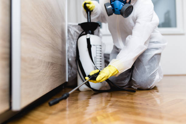Best Mosquito Control Services  in South Shore, KY
