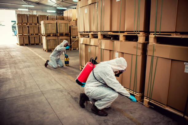 Best Affordable Pest Control Services  in South Shore, KY