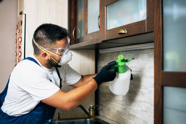 Best Cockroach Control Services  in South Shore, KY