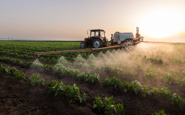 Best Pest Control Treatment  in South Shore, KY