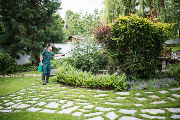 Trusted South Shore, KY Pest Control Experts
