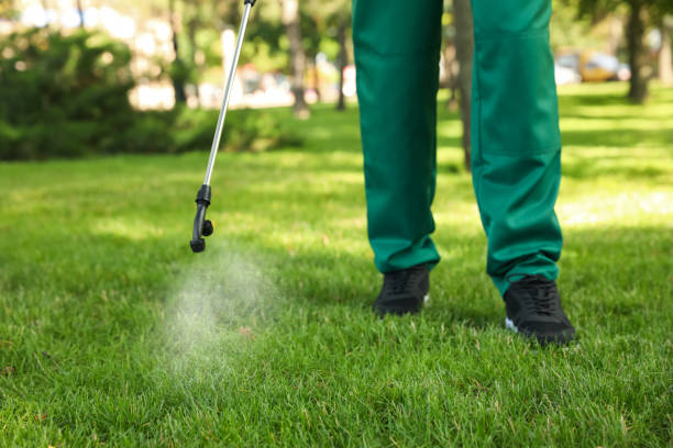 Best Emergency Pest Control  in South Shore, KY