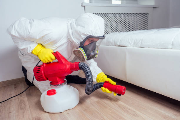 Best Flea Control Services  in South Shore, KY